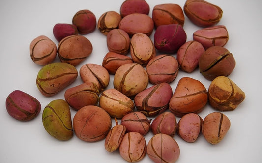 1 lb Obi Abata (Obi Kola) Kola nut